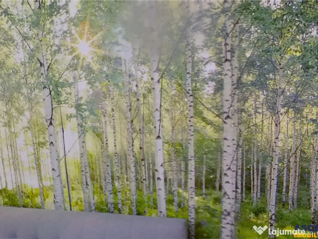 Garsoniera moderna, etaj intermediar, cadru natural, Noua Br 