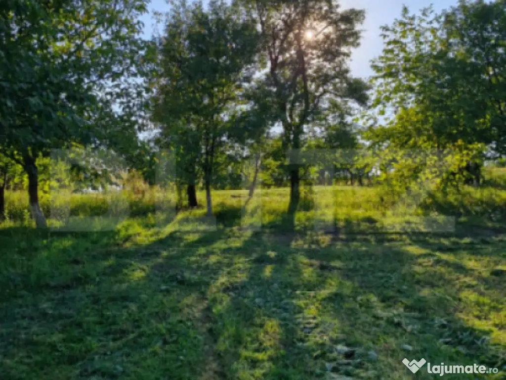 Casă de vânzare – Budacu de Jos | 6 km de centrul Bistri 