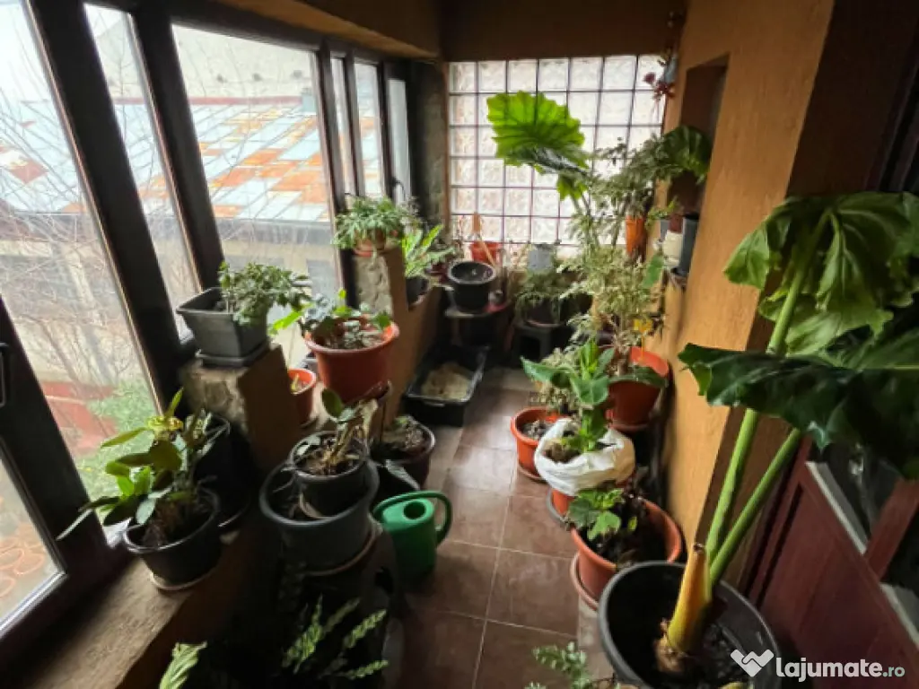 Casă 300 mp utili, Malu Roșu, Ploiești 