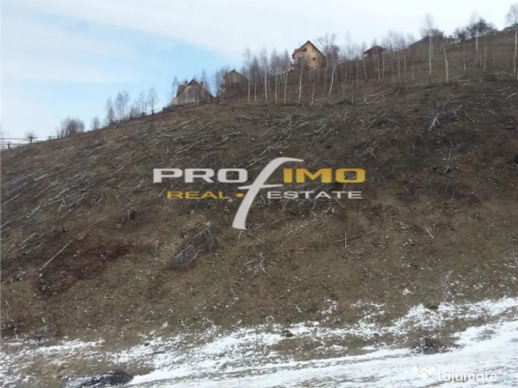 Moeciu, Drumul Carului, teren 3750 mp, 75000 euro 