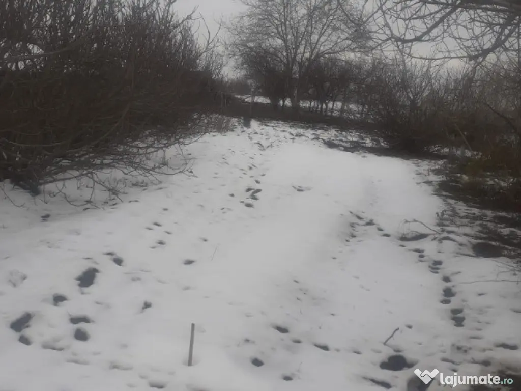 Casă de vânzare în Dombegyház, Ungaria – 22 km de Arad ID:RH-44269 