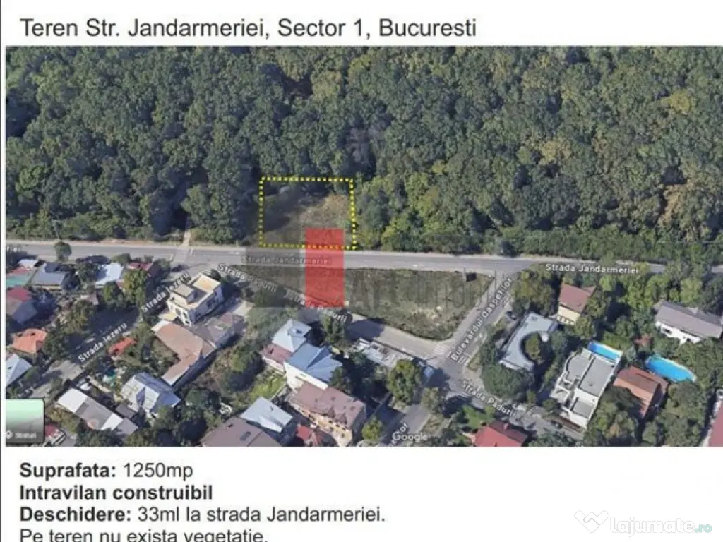 Teren padure Baneasa Jandarmeriei 