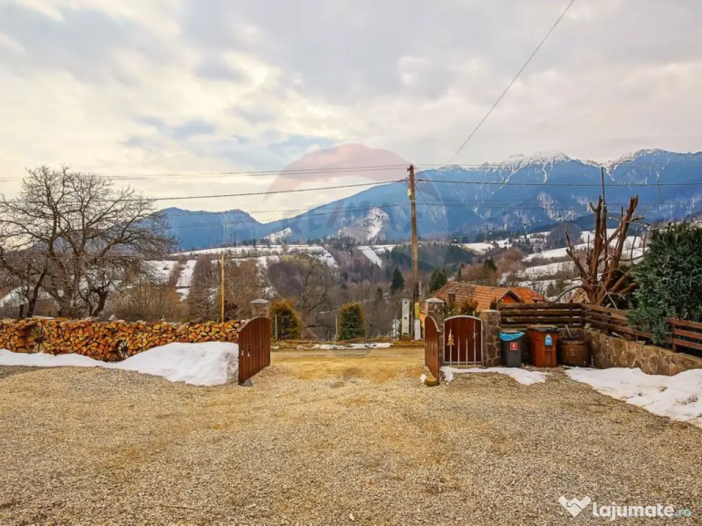 Cabana la Flo, 8 cam,P + M, teren 888 mp oportunitate de ... 