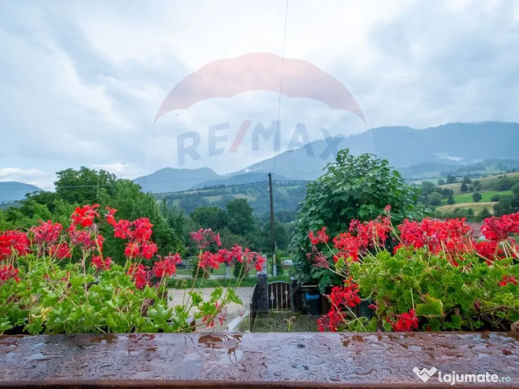 Cabana la Flo, 8 cam,P + M, teren 888 mp oportunitate de ... 