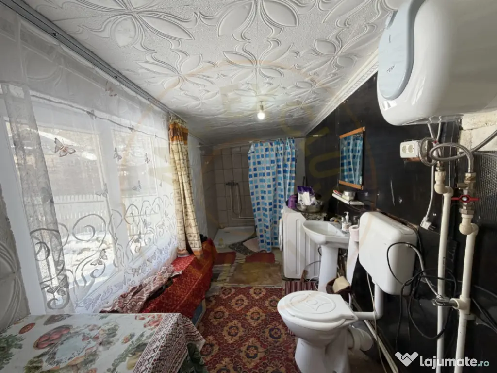 Casa Traditionala Priboieni Arges 