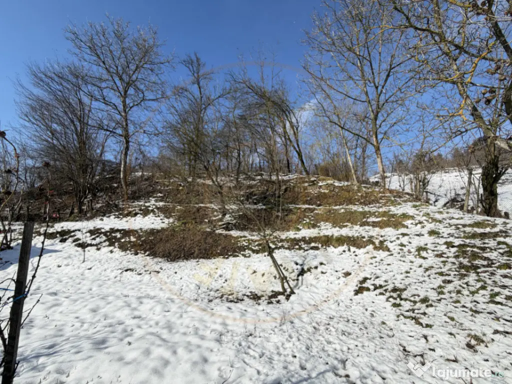 Casa Traditionala Priboieni Arges 