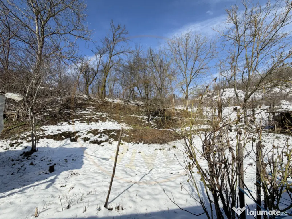 Casa Traditionala Priboieni Arges 