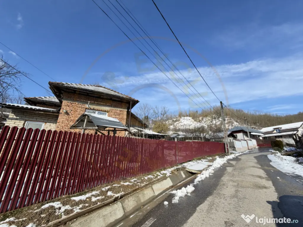 Casa Traditionala Priboieni Arges 