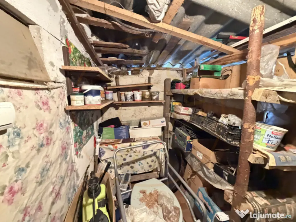 Casa Traditionala Priboieni Arges 