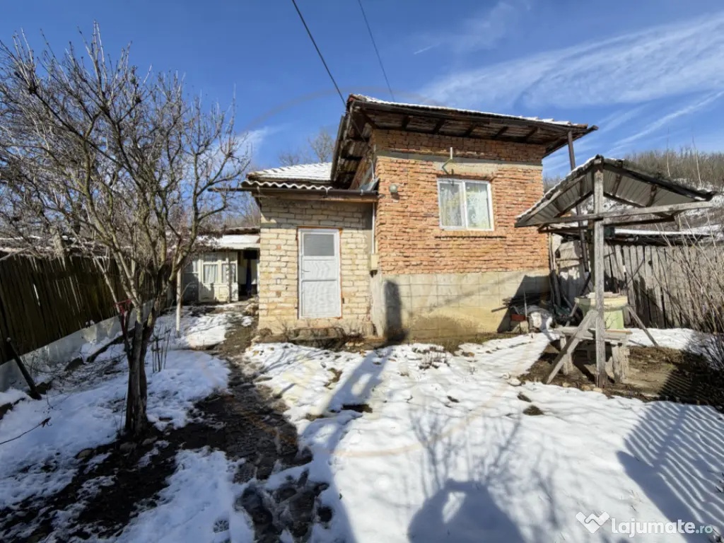 Casa Traditionala Priboieni Arges 