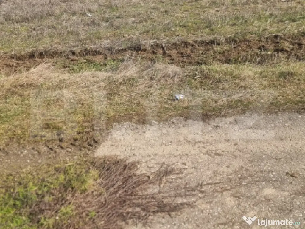 TEREN INTRAVILAN CONSTRUCTII 