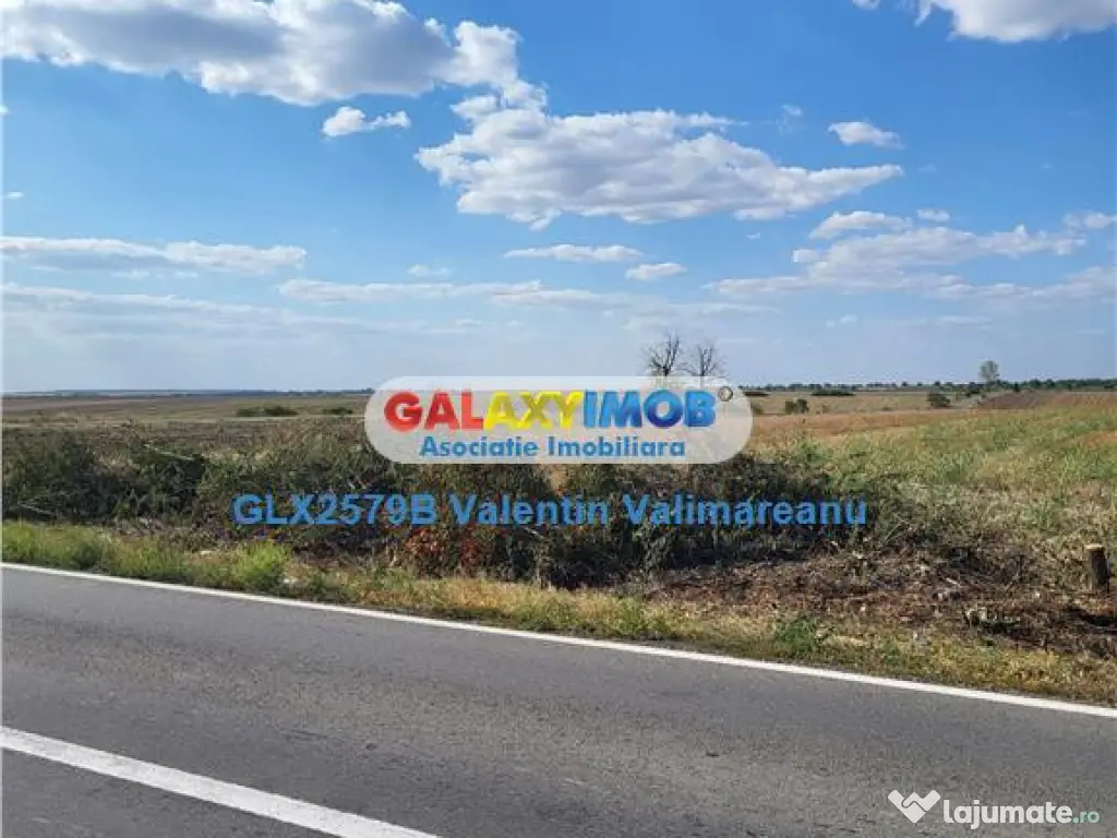 Teren Petrichioaia cod vi 201