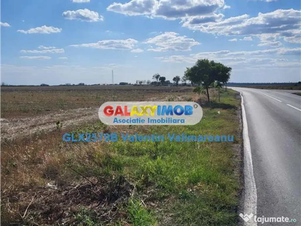 Teren Petrichioaia cod vi 201