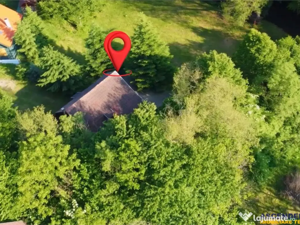 FILM!Casa Cabana 2.000 mp teren in miracolul naturii autent 
