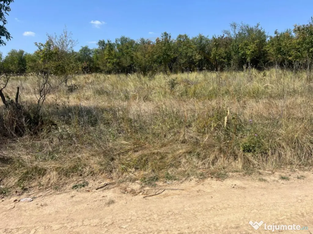 Teren intravilan 5744 mp Mosoaia-Prunilor 