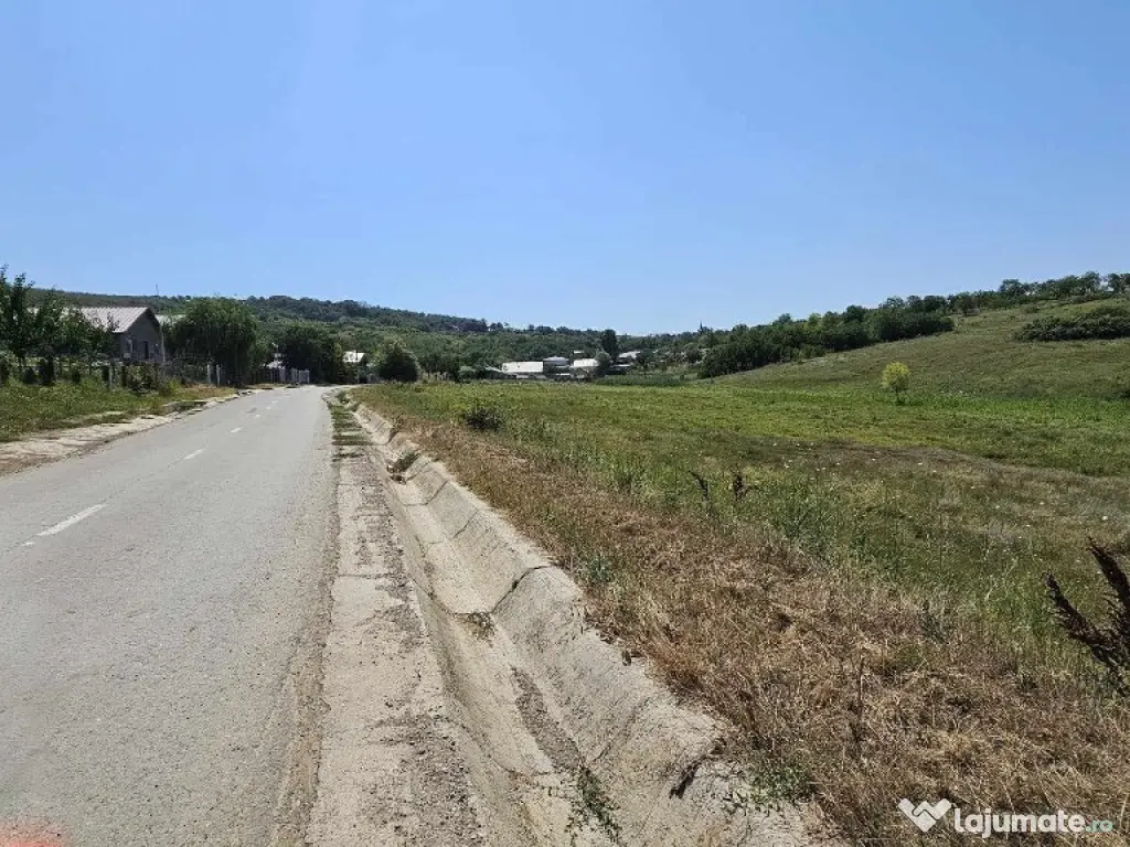 Teren 2.340mp, Dancas – Miroslava, 