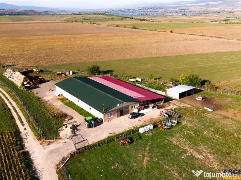 FILM! 18.000 mp, extravilan, agricol constructii:ferma,inve 