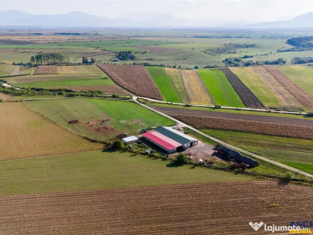 FILM! 18.000 mp, extravilan, agricol constructii:ferma,inve 