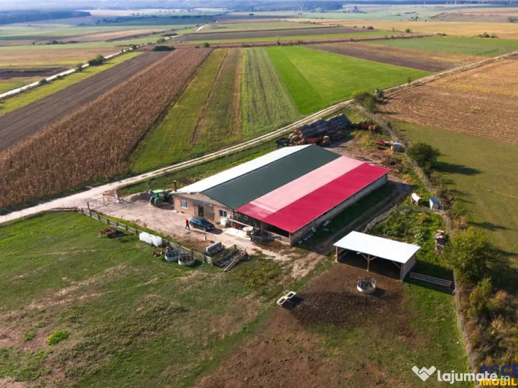 FILM! 18.000 mp, extravilan, agricol constructii:ferma,inve 