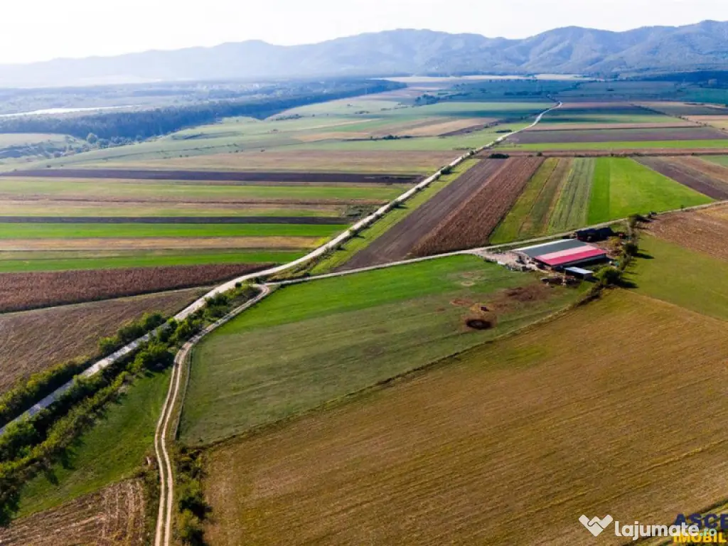 FILM! 18.000 mp, extravilan, agricol constructii:ferma,inve 