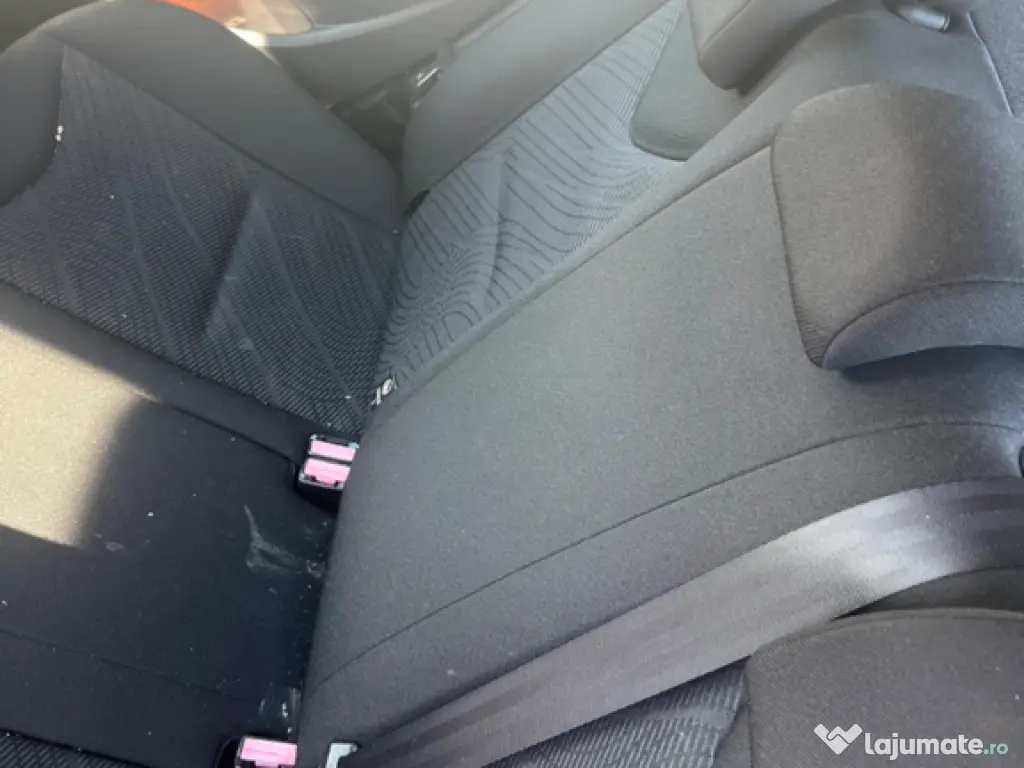 Pejo în stare bună 