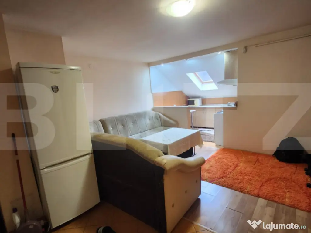 Apartament 1 camera, zona Valeria Peter Predescu 