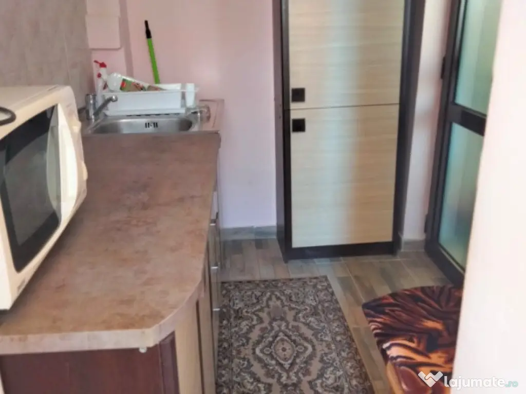 Garsoniera etaj 1 zona Garii 
