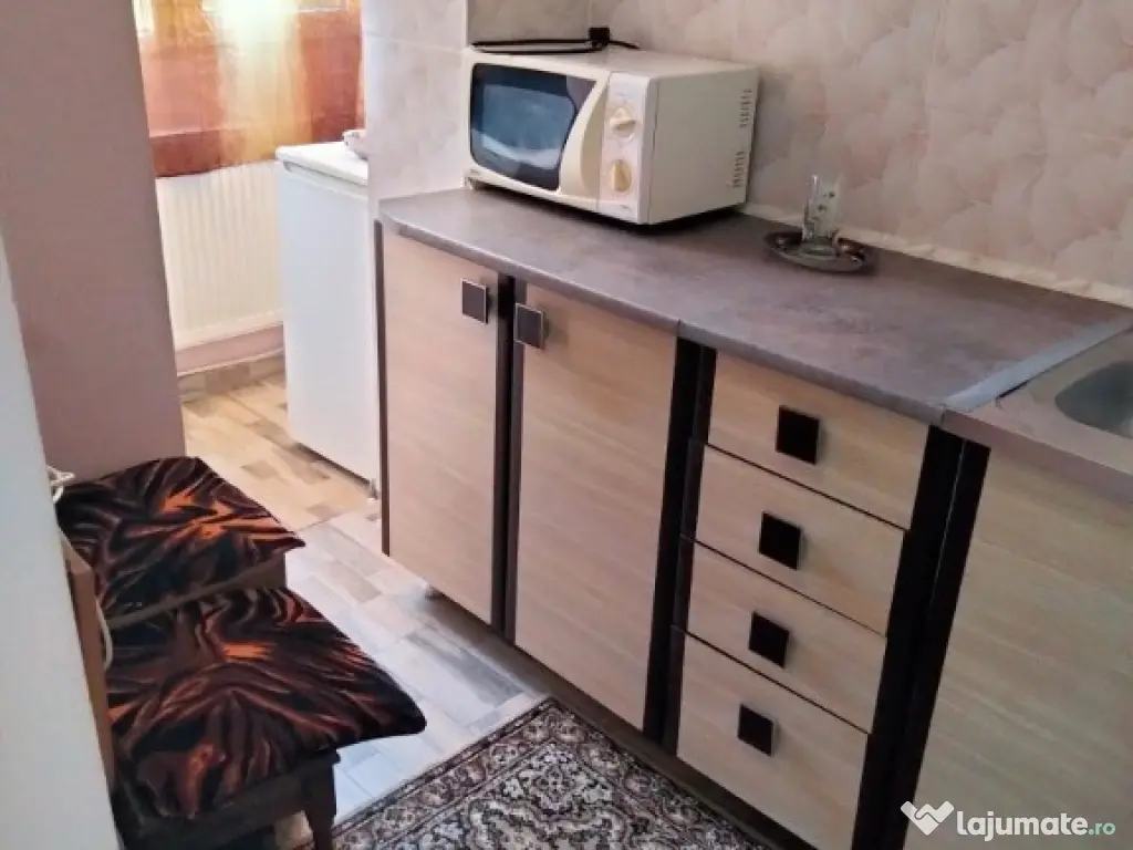 Garsoniera etaj 1 zona Garii 