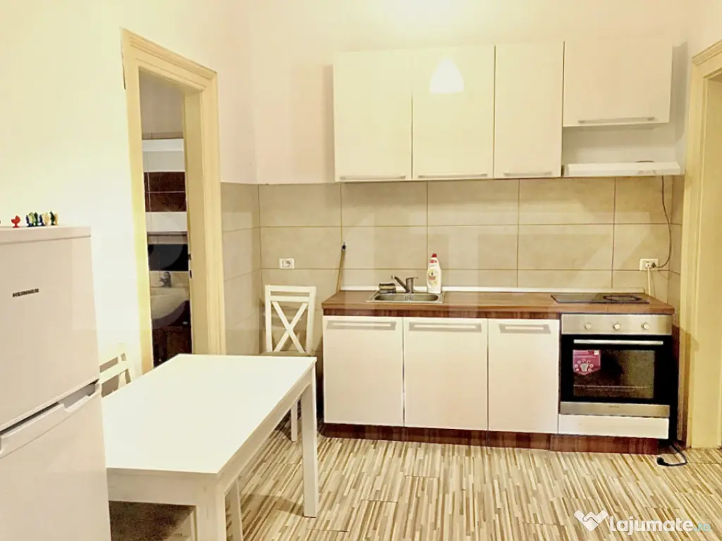 Apartament 3 camere, 115 mp, zona Centru - vedere Bega