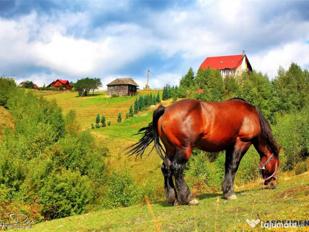Resedinta pensiune, cu 1.000 mp teren, Pestera, Brasov