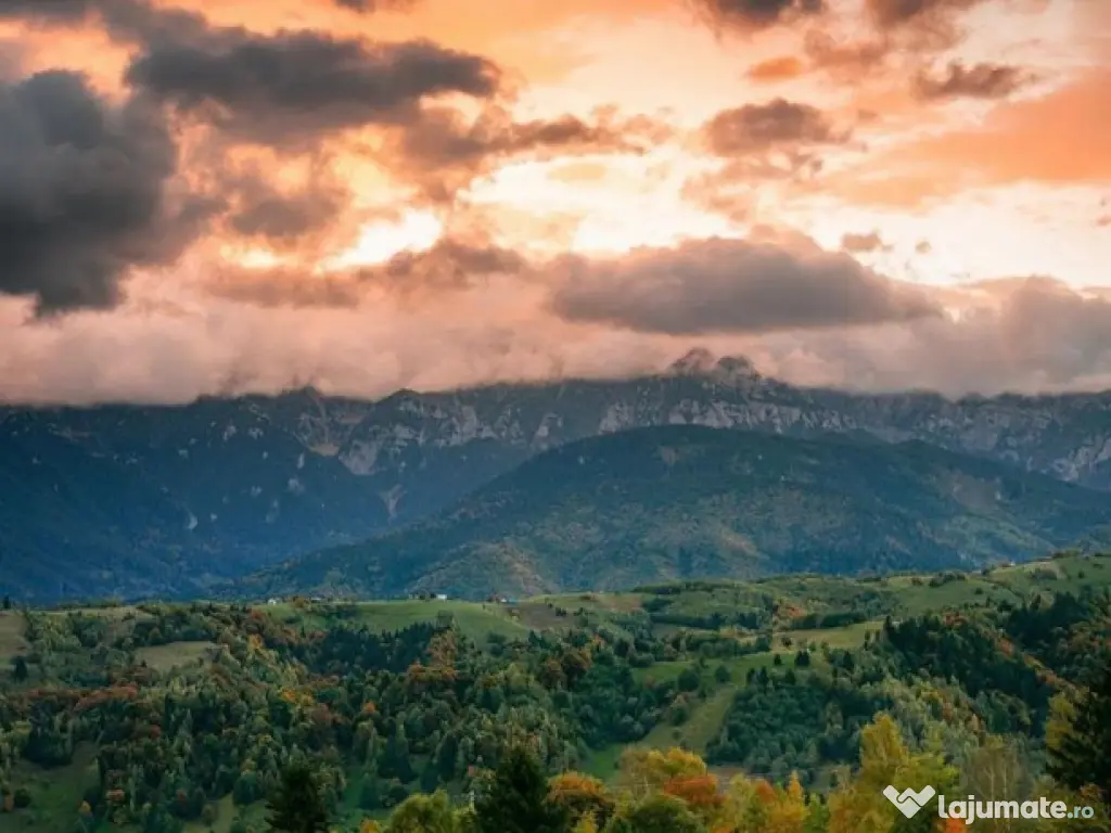 Resedinta pensiune, cu 1.000 mp teren, Pestera, Brasov