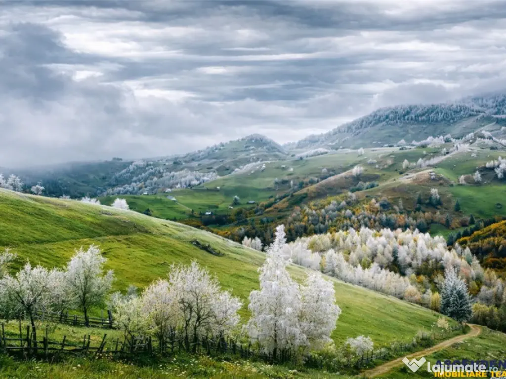 Resedinta pensiune, cu 1.000 mp teren, Pestera, Brasov