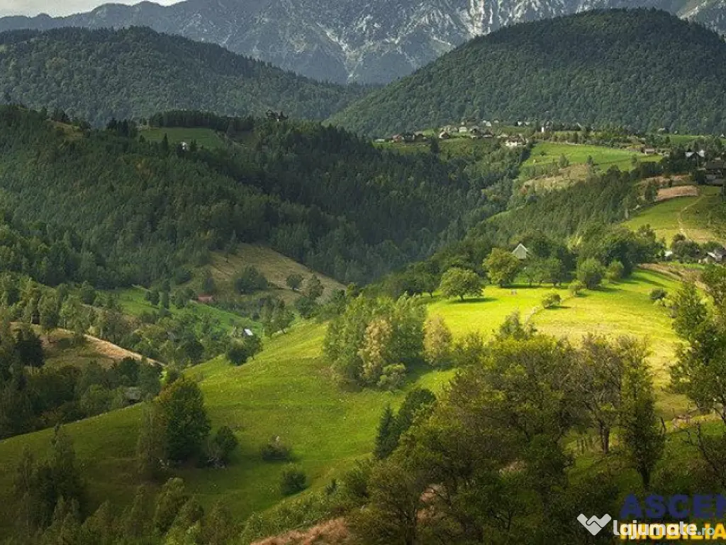 Resedinta pensiune, cu 1.000 mp teren, Pestera, Brasov