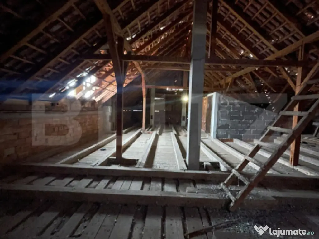 Casa 310 mp utili, 2900 mp teren, zona Insula, Campia Turzii