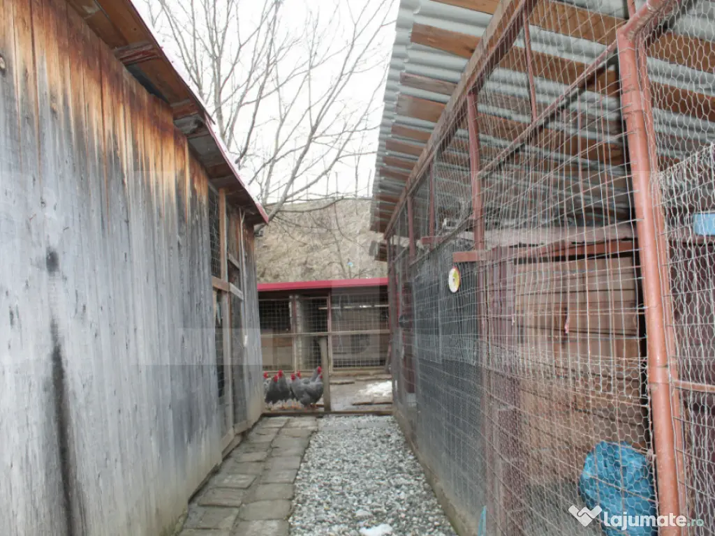 Dublă Oportunitate: Casă Nouă 2020 + Casă Tradițională 