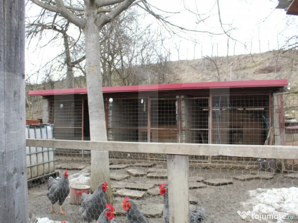 Dublă Oportunitate: Casă Nouă 2020 + Casă Tradițională 