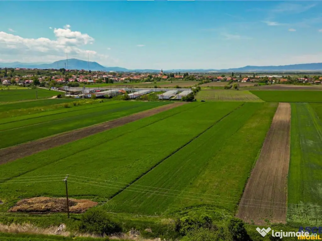 FILM! Teren extravilan 5.000 mp in zona linistita cu acces f 