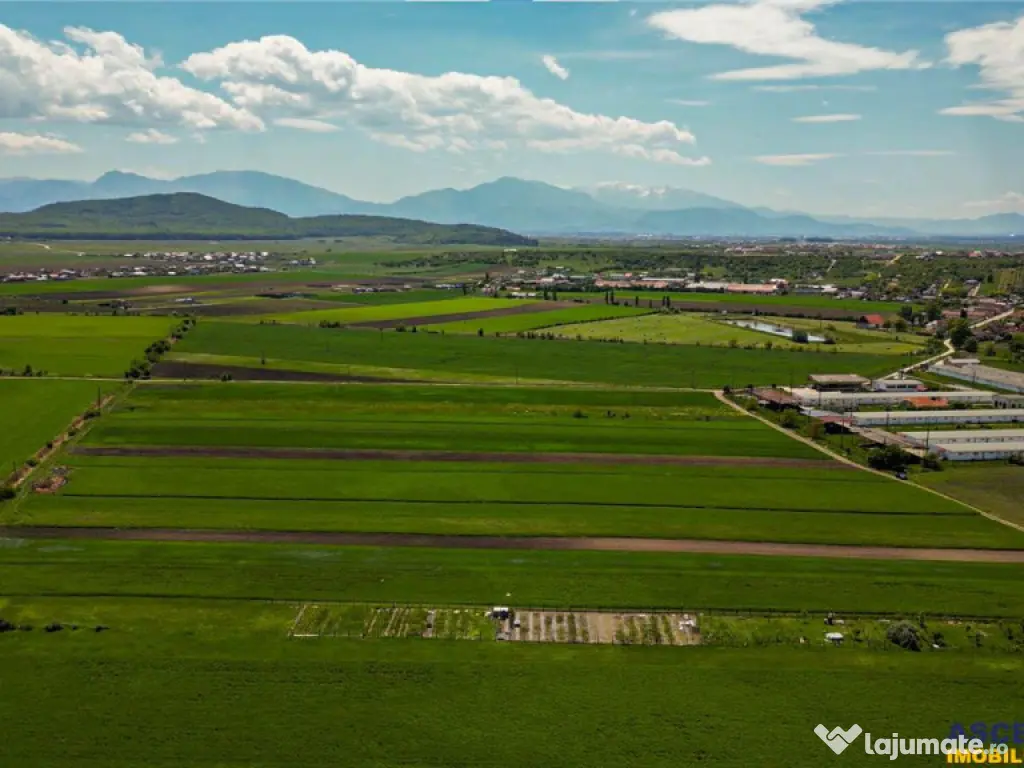 FILM! Teren extravilan 5.000 mp in zona linistita cu acces f 