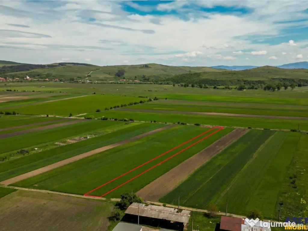 FILM! Teren extravilan 5.000 mp in zona linistita cu acces f 