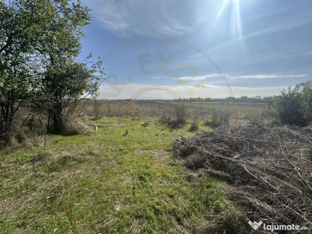 Teren 5216 mp la 2 pasi de autostrada A1 