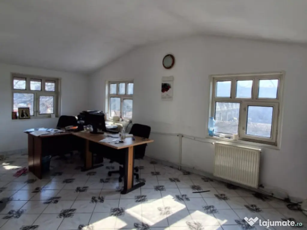 Imobil industrial si multifuncțional–zonă centrală (pro 