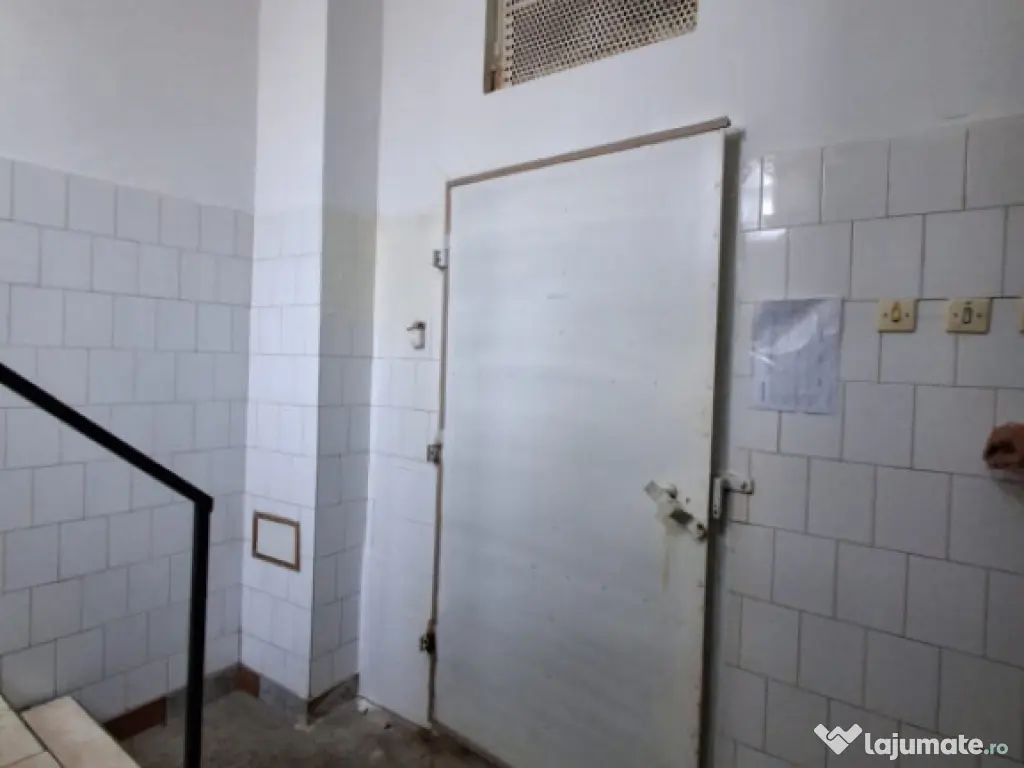 Imobil industrial si multifuncțional–zonă centrală (pro 