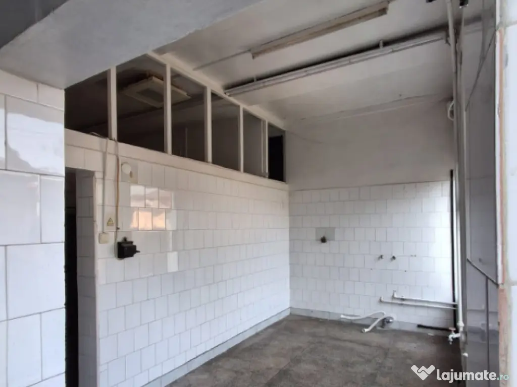 Imobil industrial si multifuncțional–zonă centrală (pro 