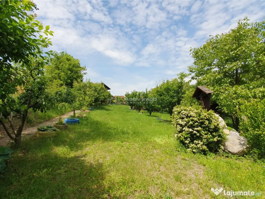 Teren intravilan - 2400 mp - 3 cabane din lemn modulare - Li 