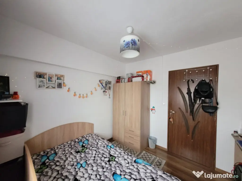 Camera de camin - 20mp - Valea Rosie 