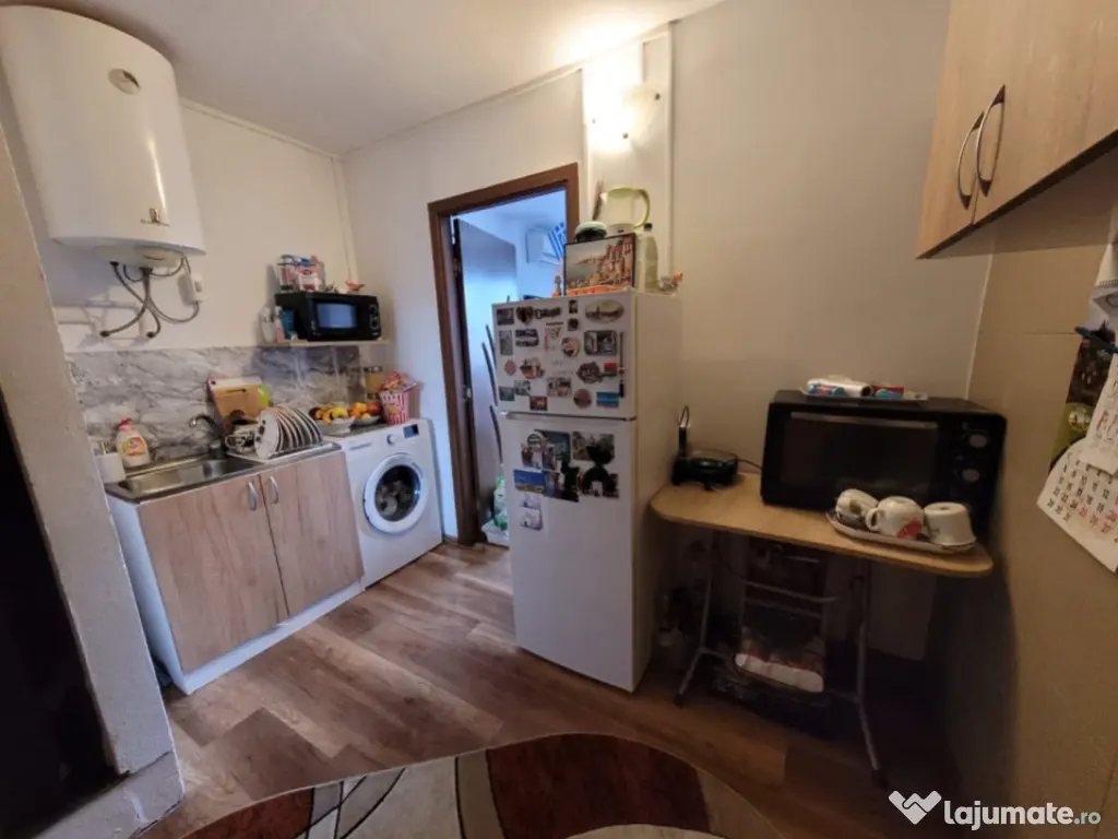 Camera de camin - 20mp - Valea Rosie 