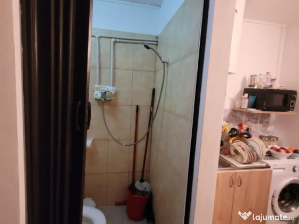 Camera de camin - 20mp - Valea Rosie 