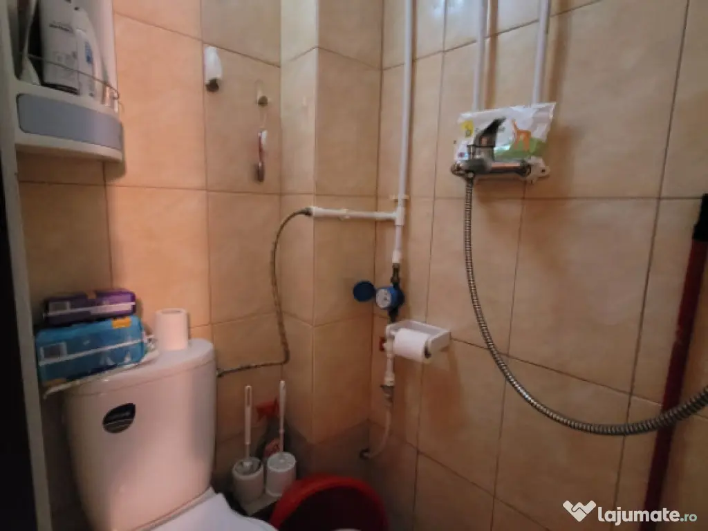 Camera de camin - 20mp - Valea Rosie 