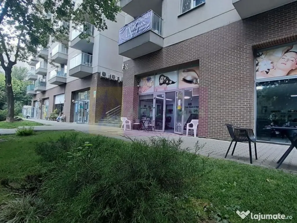 Spatiu Comercial Stradal Șoseaua Colentina zona Teiul Do... 