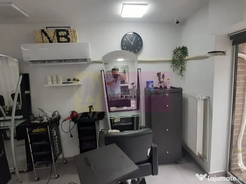 Spatiu Comercial Stradal Șoseaua Colentina zona Teiul Do... 